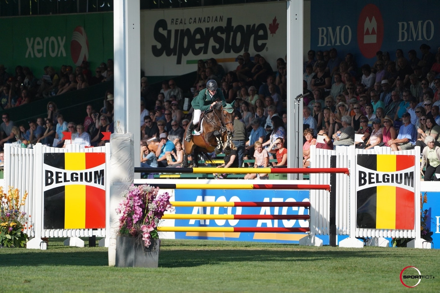 Farrel VDL (by VDL Cardento) Grand Prix jumper, ridden by Daniel Coyle (IRL). Sold in 2017 auction.