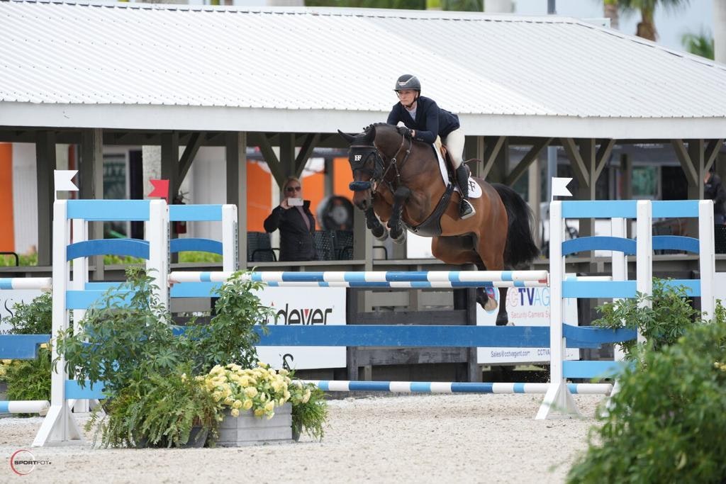 VDL Manhattan (by Dallas VDL) ridden by Lydia Todd. Sold in 2023 auction.